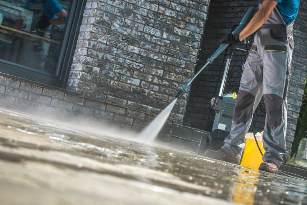 Best Roof Washing  in Albion, NY