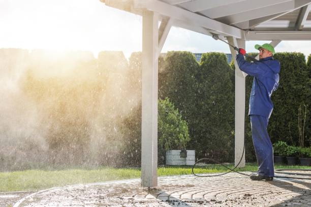 Trusted Albion, NY Pressure Washing Services Experts